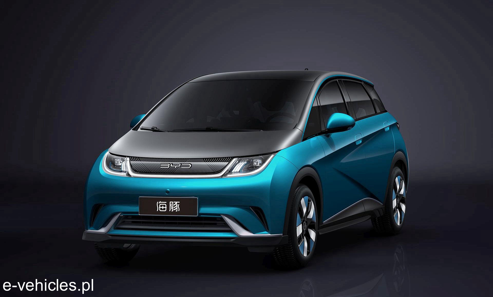 BYD Dolphin Knight Edition
