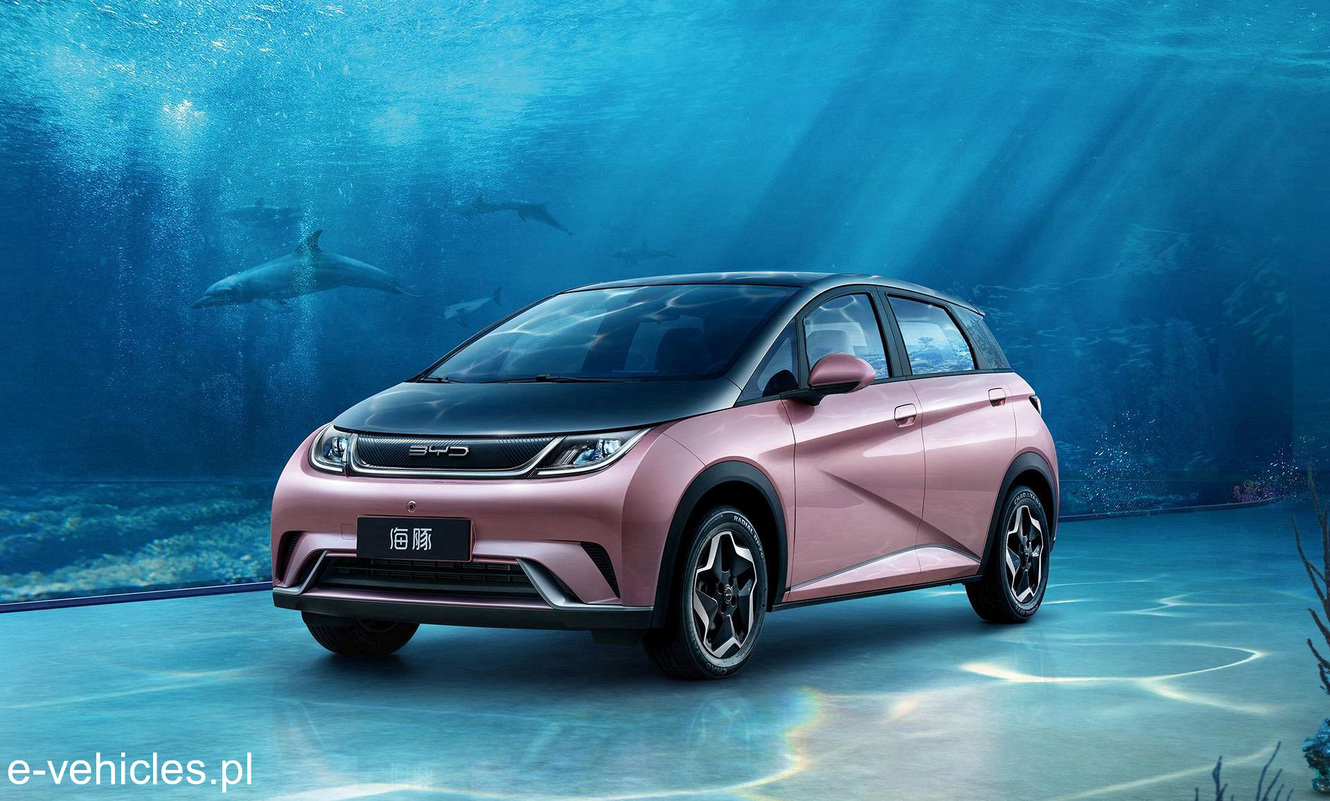 BYD Dolphin 301km Vigorous Edition
