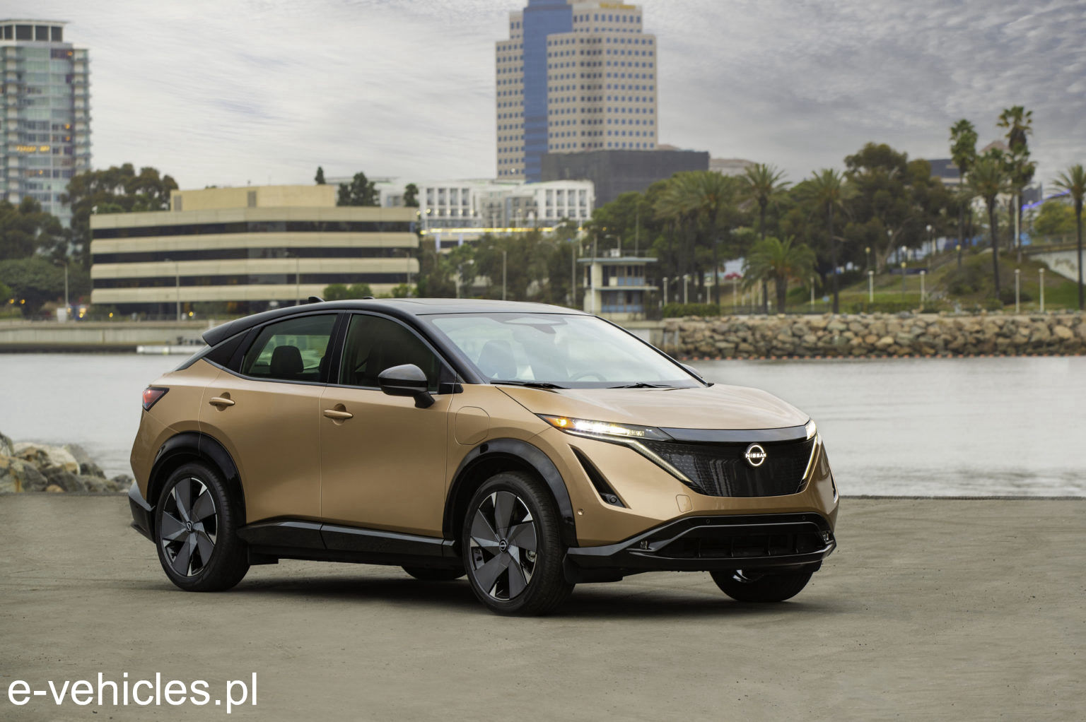 Nissan Ariya 87