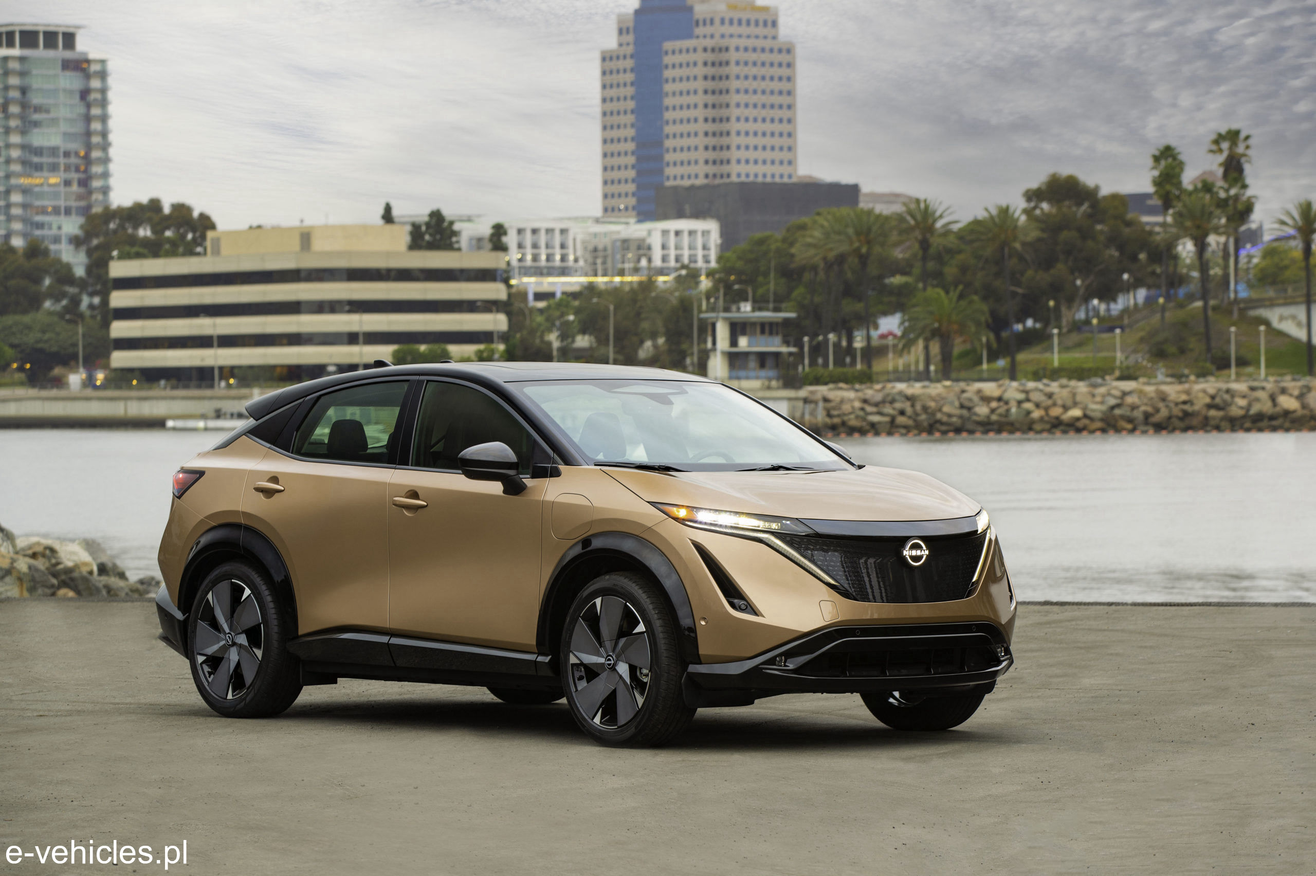 Nissan Ariya e-4ORCE 87