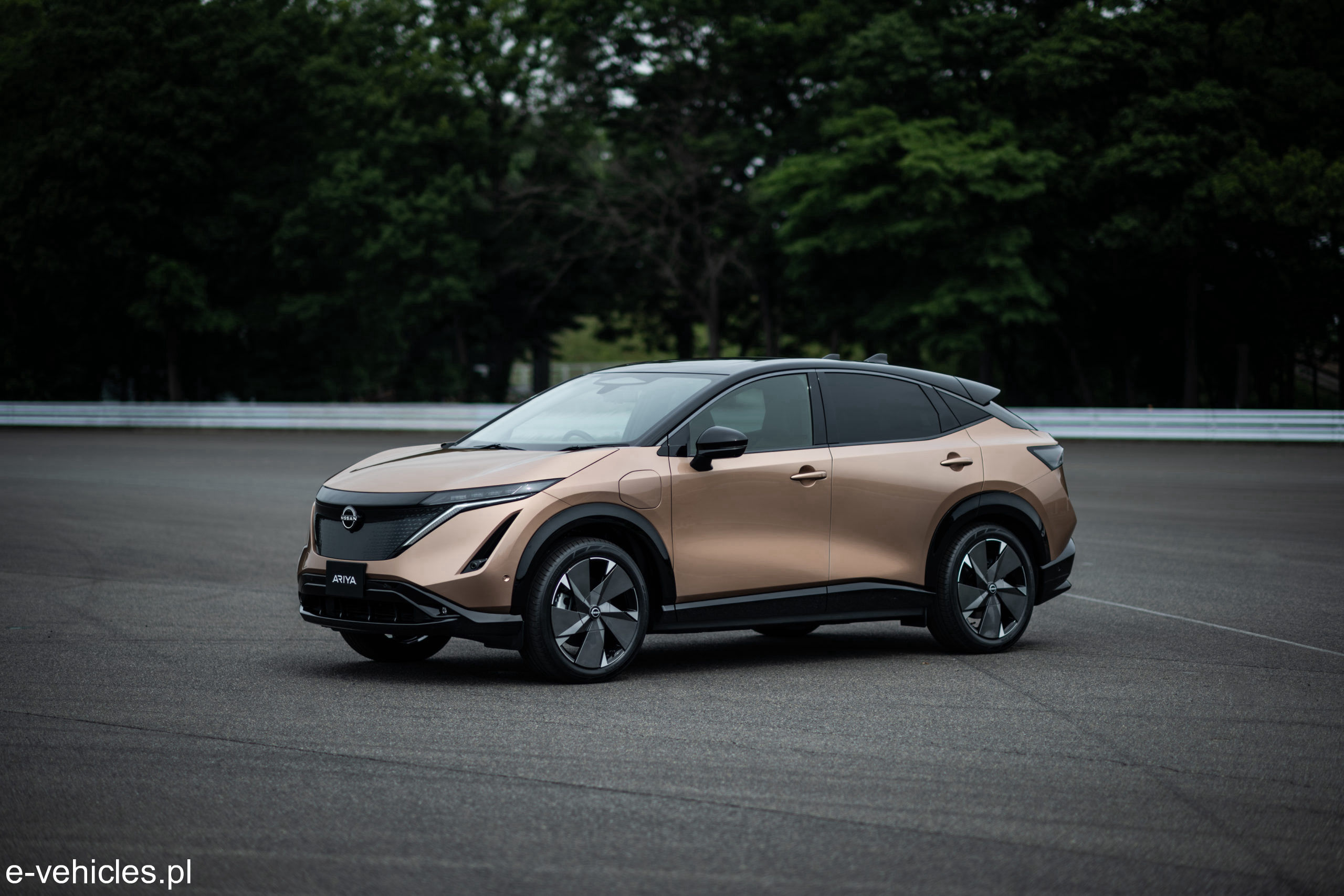 Nissan Ariya 63