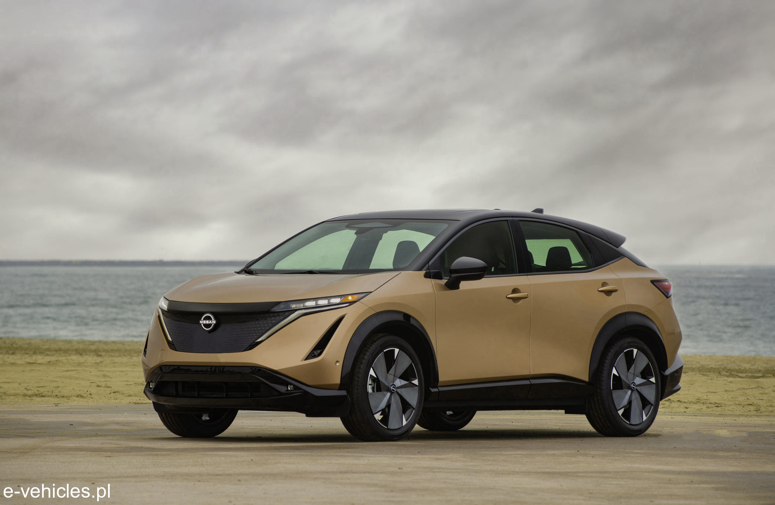 Nissan Ariya e-4ORCE 63