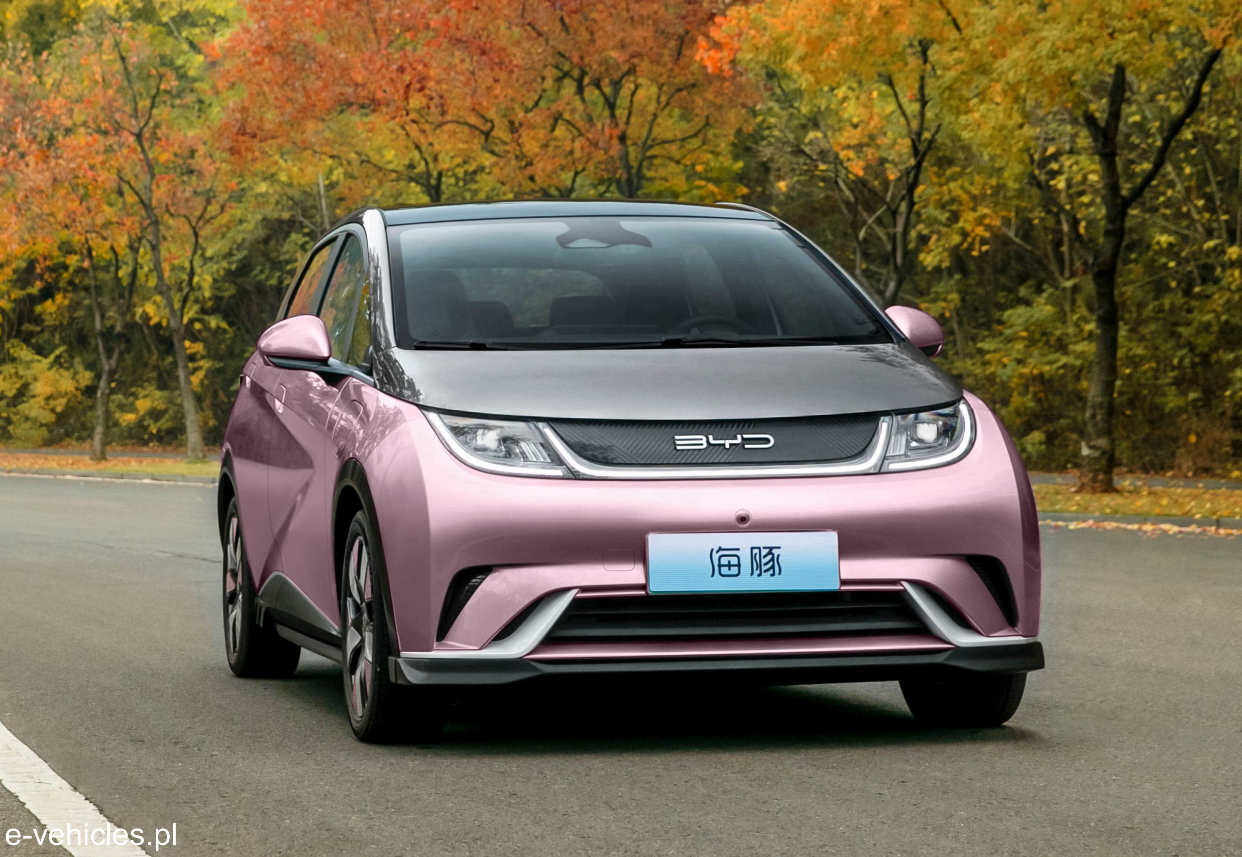 2023 BYD Dolphin