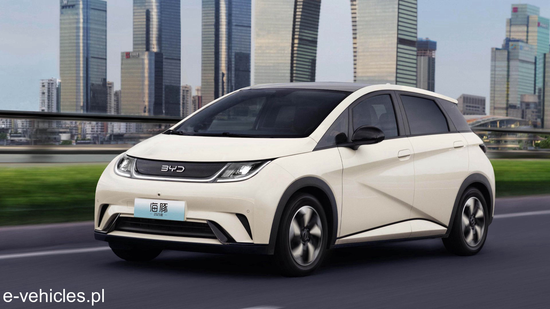 2024 BYD Dolphin
